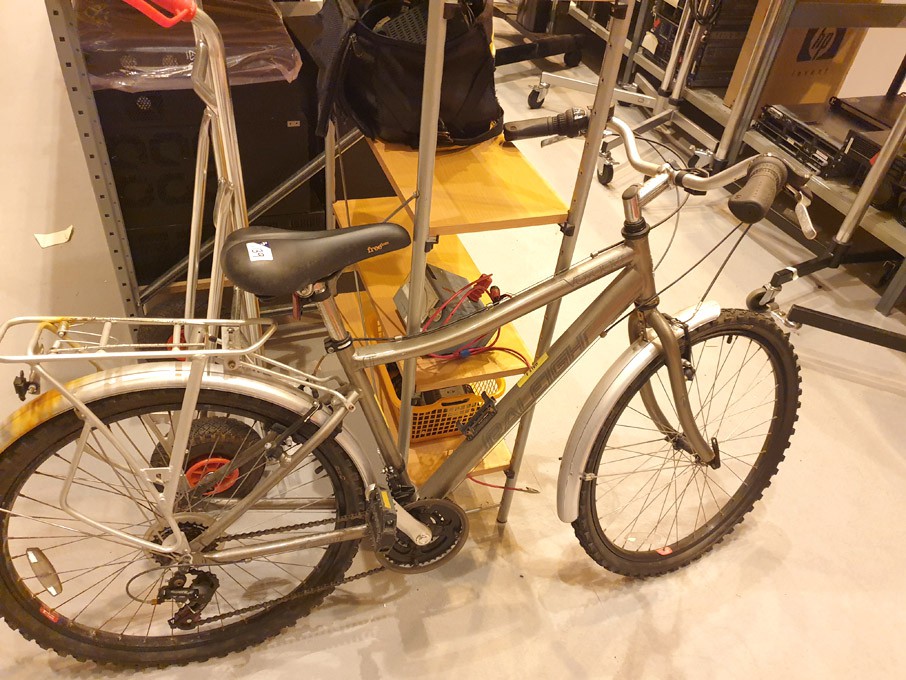 Raleigh Voyager men's mountain bike