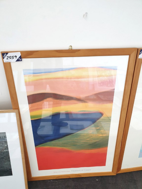 'Freshness of Colours - Stavros Kotsireas' framed...