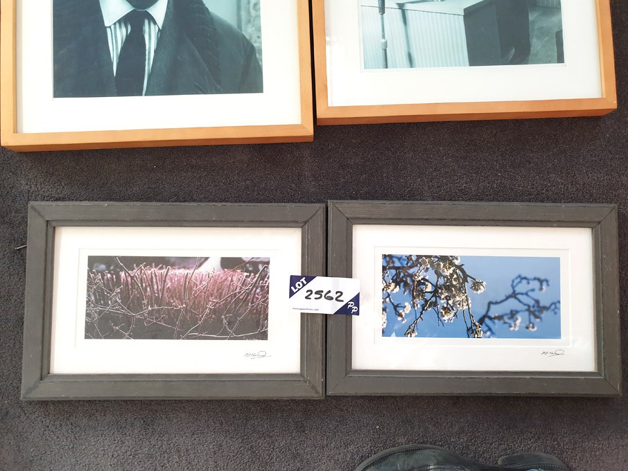 2x Flower scene prints in wooden frame