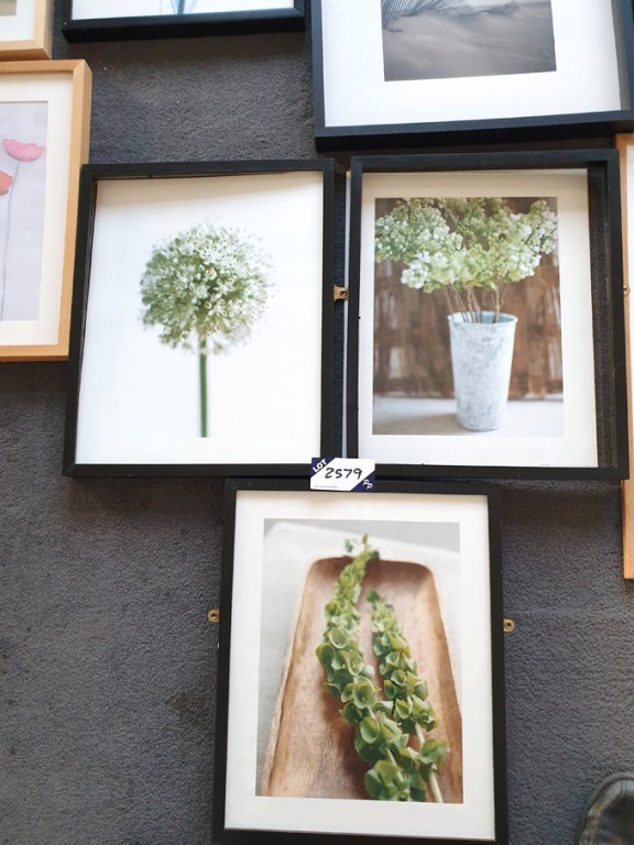 3x colour flower prints in frames, 520x420mm appro...