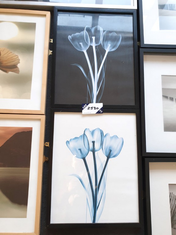 2x Tulip prints in frames, 520x420mm approx