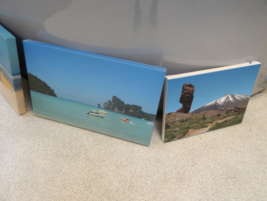 4x various landscape scenery prints on canvas