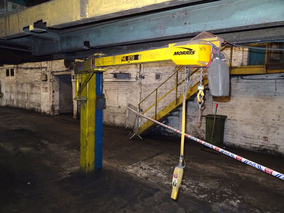 Pegasus PML 819 100kg SWL articulated arm swing ji...
