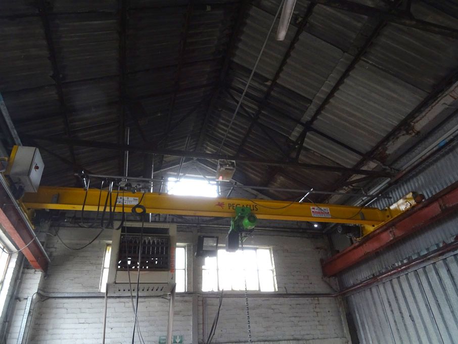 Pegasus 1 ton SWL overhead crane, Stahl electric h...