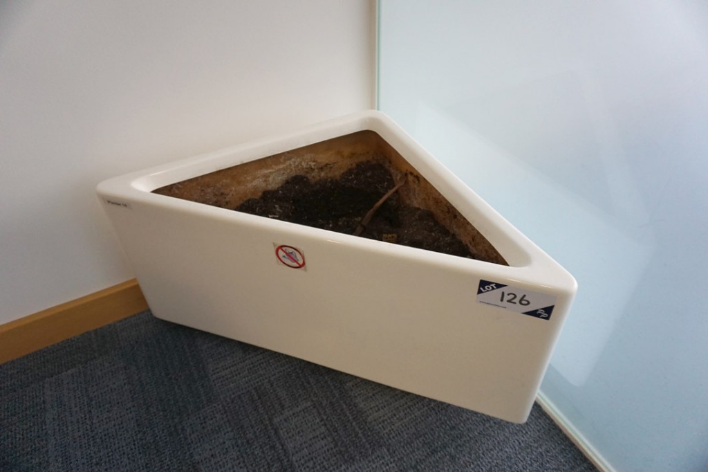 2x white fibreglass corner planters, 1x white fibr...