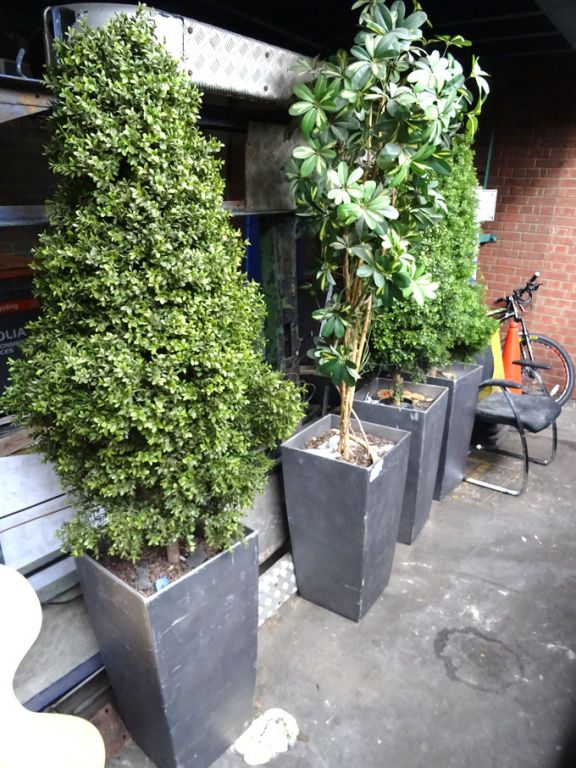5x artificial decoration trees in plant pots