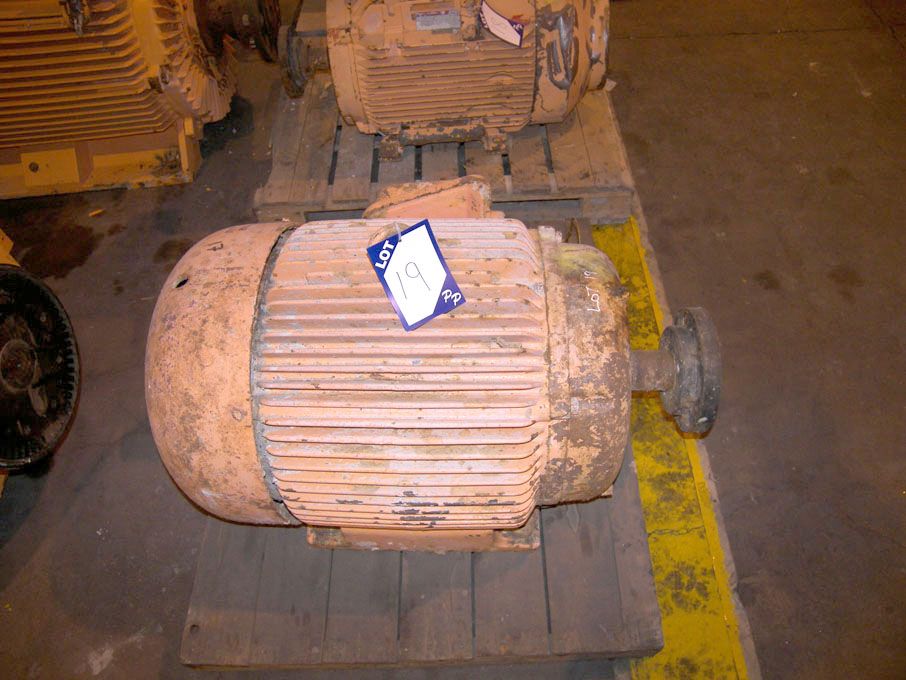 Newman Hi-Seal motor, 110kW @ 1480rpm
