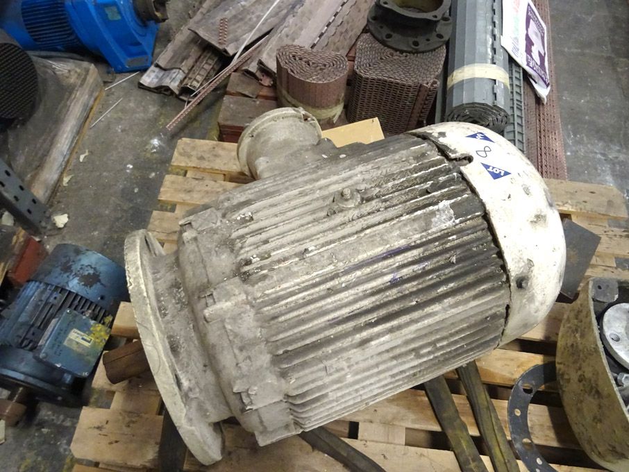 Electrical motor on pallet