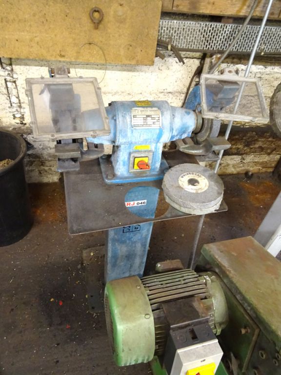 Arboga EP308 200mm double ended grinder on base
