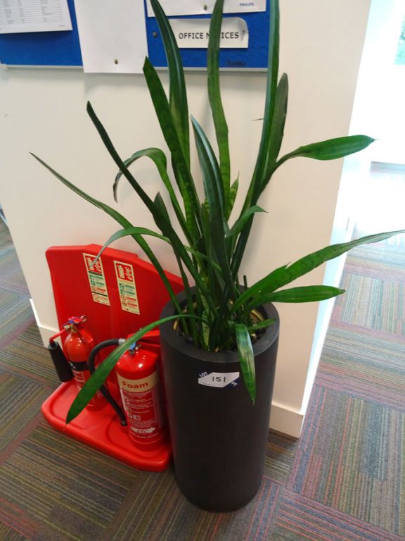 3x floor standing self watering planters with plan...