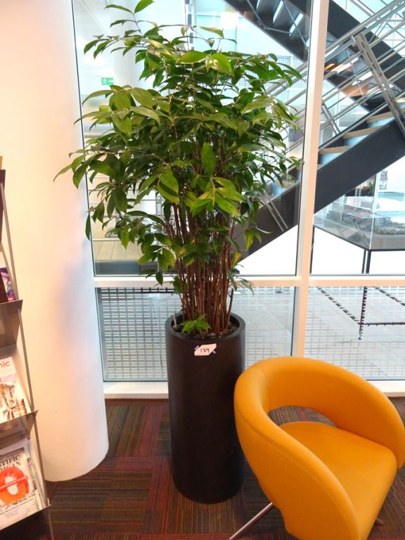 2x floor mounted self watering planters with plant...