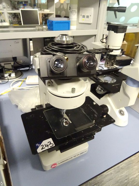 Leitz Laborlux 12HL stereo microscope