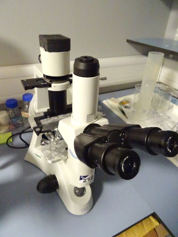 Vision Engineering Biomed DX61 routine inverted mi...