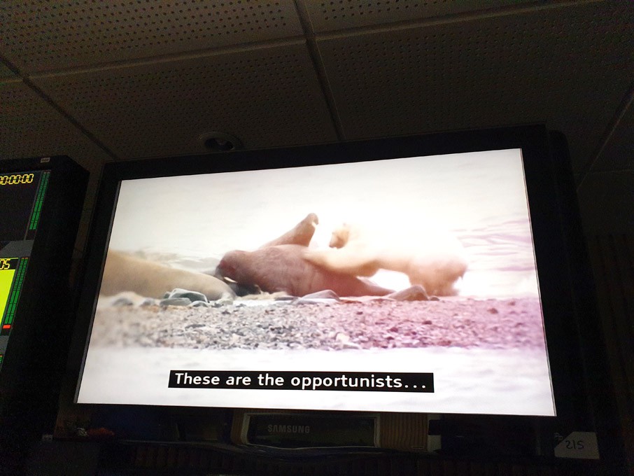Samsung 32" LCD TV