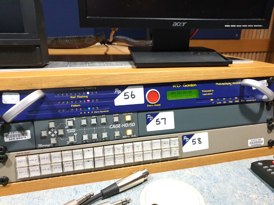 HD Gordon photoepilepsy monitor