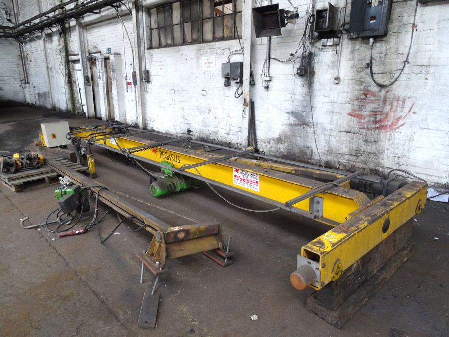 Pegasus 1 ton SWL overhead crane, Stahl electric h...