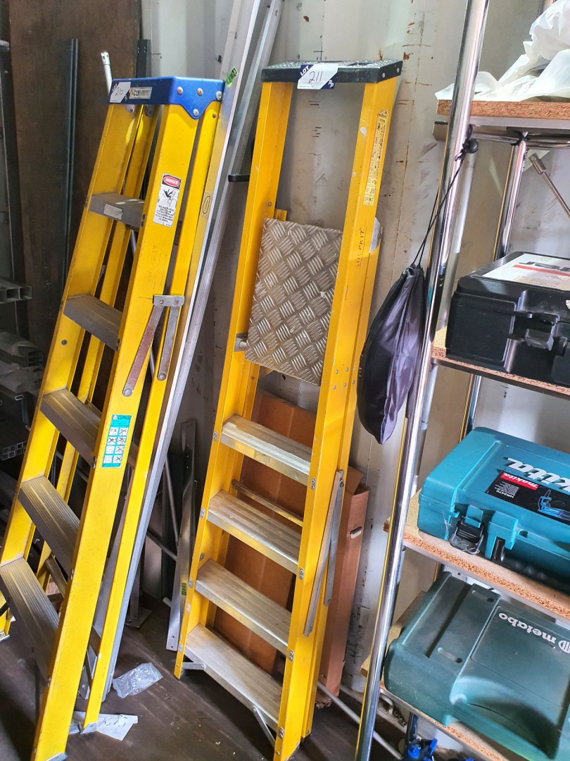 Lyte 5 step step ladder