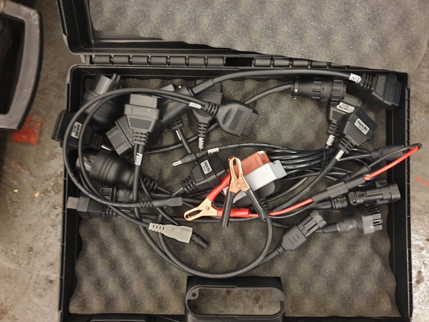 Delphi lead set in case